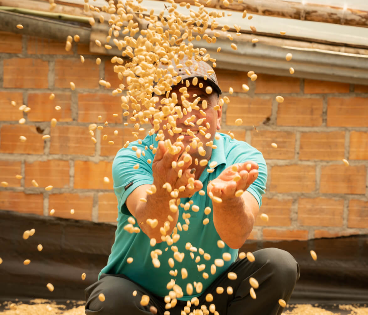 An individual hurling beans into a heap, forming a growing pile.